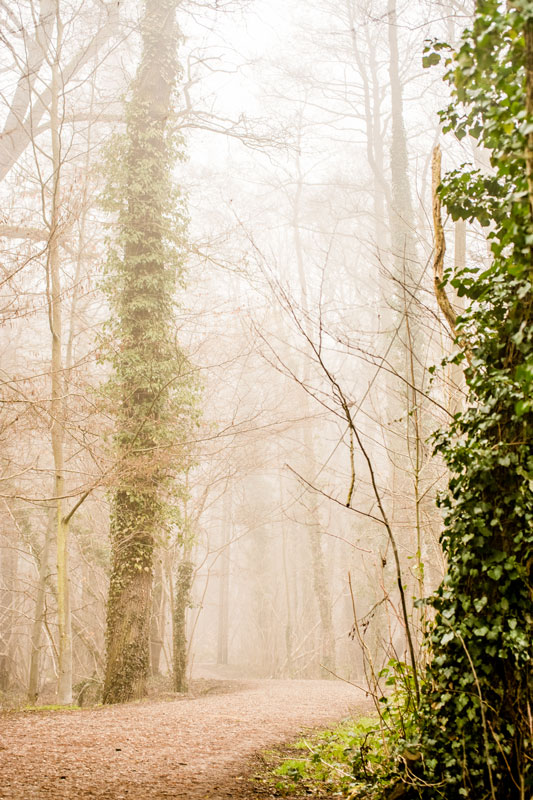 Nationalpark de Meinweg