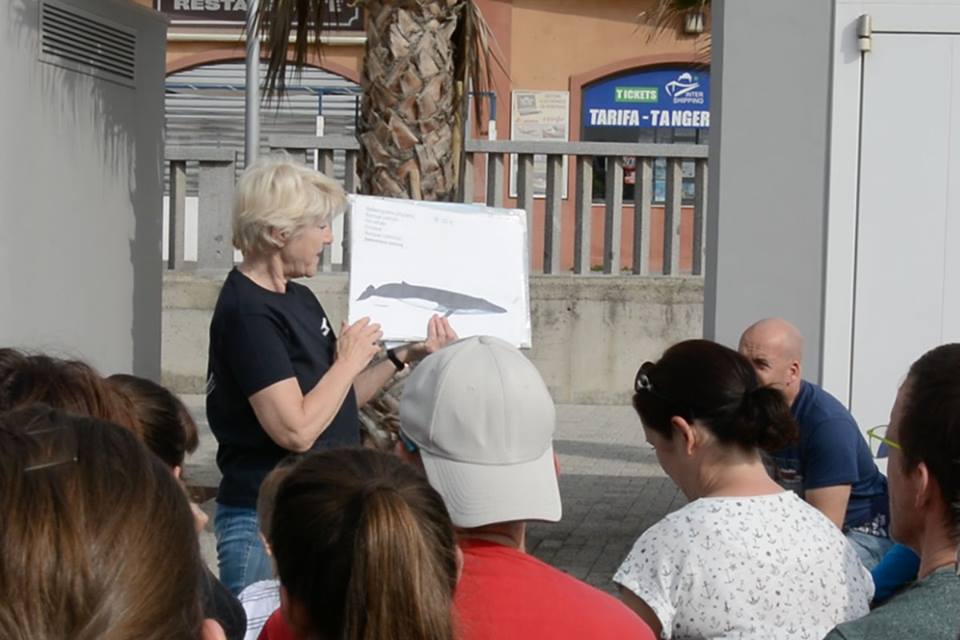 Stiftung firmm Vortrag vor Beginn der Whale Watching Tour in Tarifa
