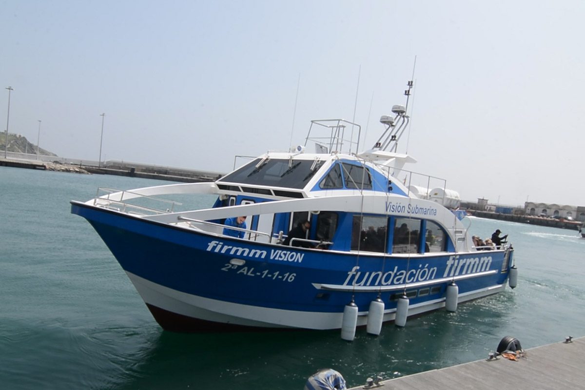 Stiftung Firmm - Beobachtungsboot Vision