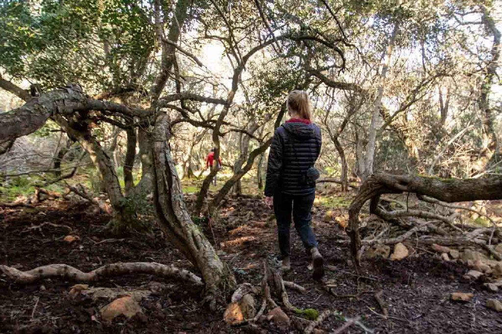 Ichkeul Nationalpark Tunesien