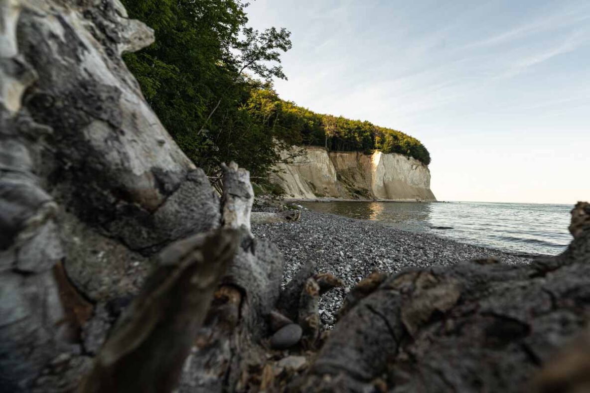 Kreidefelsen Rügen