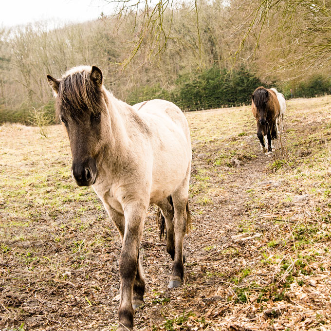 Nationalpark de Mainweg