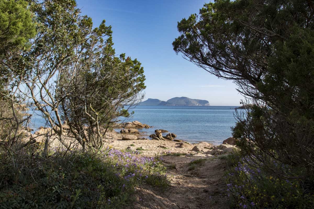 Golfo Aranci, Sardinien