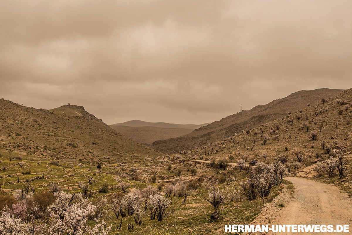 Durch den Antiatlas geht es auf schmalen Pisten vorbei an Mandelbäumen