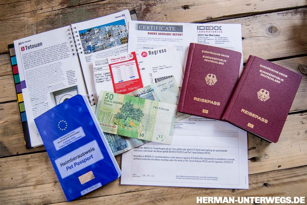 Was ist wichtig beim Reisen mit Hund